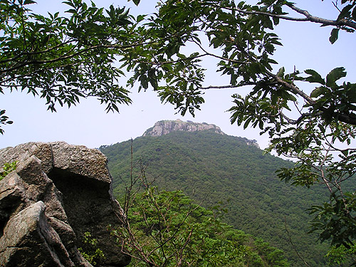 송등산에서 바라본 호구산의 모습. 